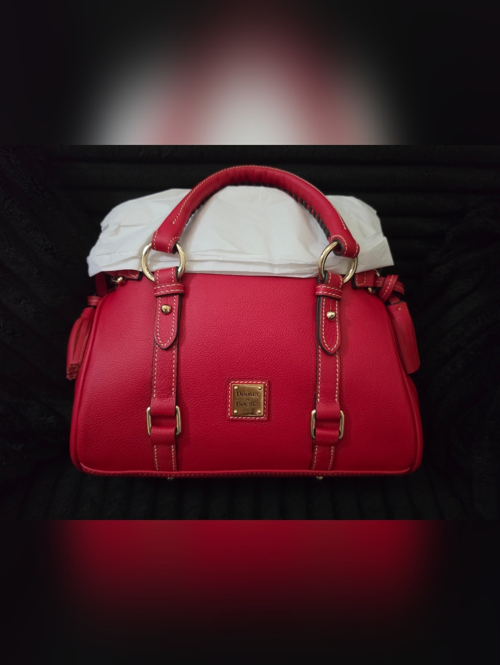 Dooney & Bourke Red Sorrento Leather Satchel